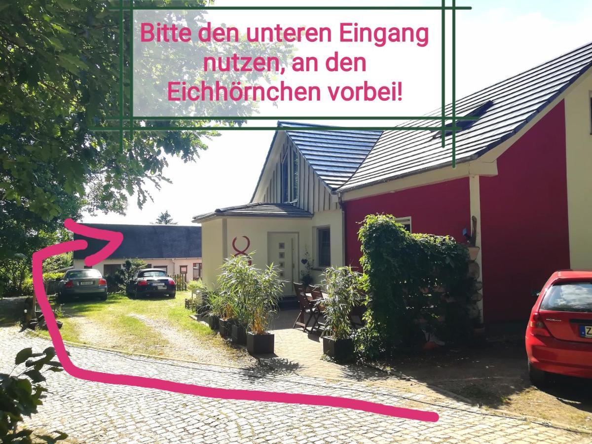 Kleines Studio im Eichenwäldchen, 1 Zimmer Küche Bad Friedrichsgrun Exterior foto