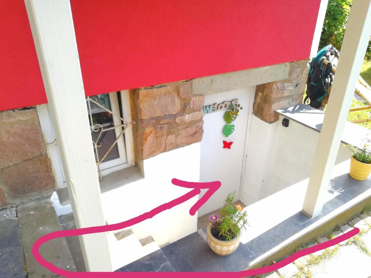 Kleines Studio im Eichenwäldchen, 1 Zimmer Küche Bad Friedrichsgrun Exterior foto